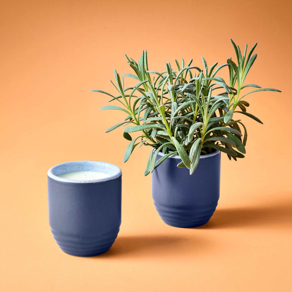 Garden Vibes Candle/Planter 2-in-1
