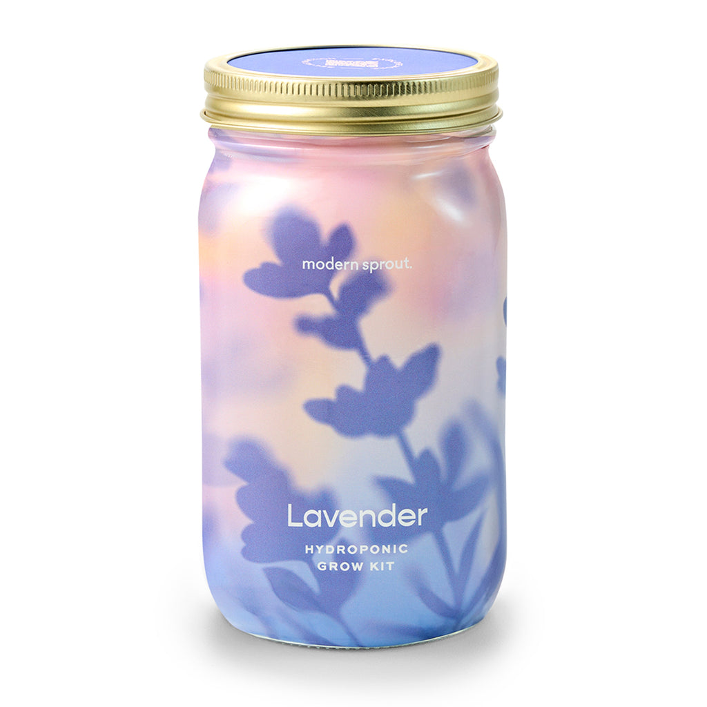 Garden Jars - Organic Herbs