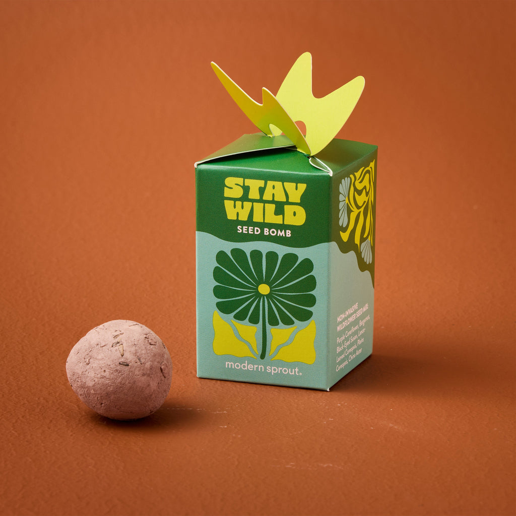 Seed Bombs